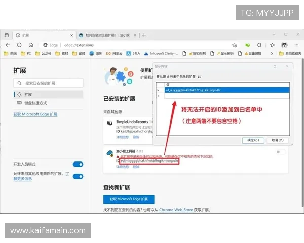 新加坡凯发集团在全球博彩市场中的扩展策略与合作伙伴关系 新加坡凯发集团在全球博彩市场中的扩展策略与合作伙伴关系